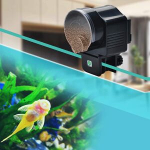 Lychee Fish Feeder